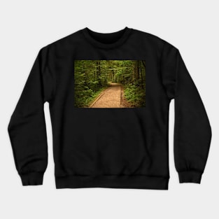 Path in Zelenci Nature Reserve, Slovenia Crewneck Sweatshirt